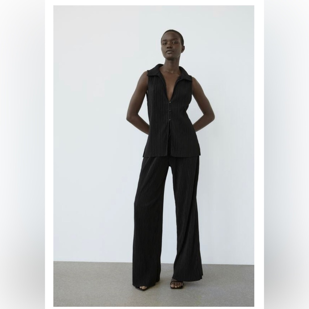 Zara pleated pants